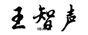 胡問遂王智聲行書個性簽名怎么寫