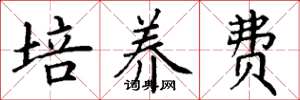 丁謙培養費楷書怎么寫