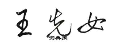 駱恆光王先女行書個性簽名怎么寫