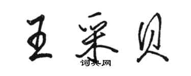 駱恆光王采貝行書個性簽名怎么寫