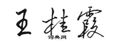 駱恆光王桂霞行書個性簽名怎么寫