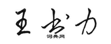 駱恆光王書力行書個性簽名怎么寫