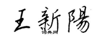 王正良王新陽行書個性簽名怎么寫