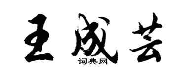 胡問遂王成芸行書個性簽名怎么寫