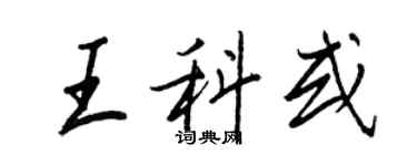 王正良王科或行書個性簽名怎么寫