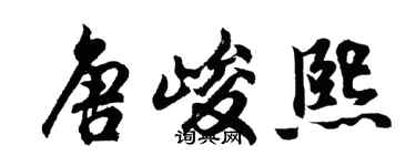 胡問遂唐峻熙行書個性簽名怎么寫