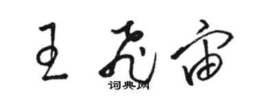 駱恆光王飛宙草書個性簽名怎么寫