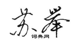 駱恆光蘇舉行書個性簽名怎么寫