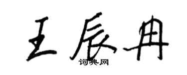 王正良王辰冉行書個性簽名怎么寫