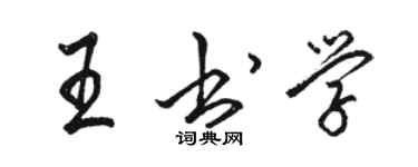 駱恆光王書學行書個性簽名怎么寫
