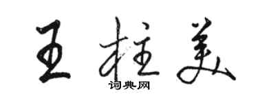 駱恆光王柱美行書個性簽名怎么寫