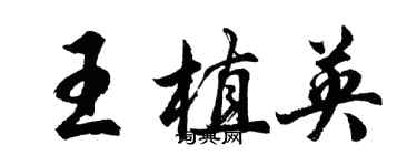 胡問遂王植英行書個性簽名怎么寫