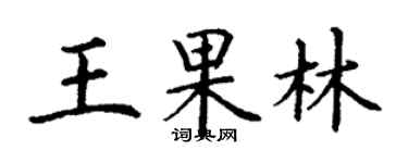 丁謙王果林楷書個性簽名怎么寫