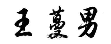 胡問遂王蔓男行書個性簽名怎么寫