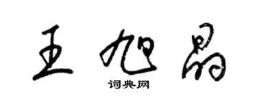 梁錦英王旭晶草書個性簽名怎么寫