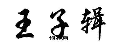胡問遂王子輯行書個性簽名怎么寫