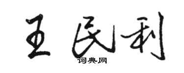 駱恆光王民利行書個性簽名怎么寫