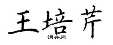 丁謙王培芹楷書個性簽名怎么寫