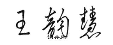 駱恆光王韻慧草書個性簽名怎么寫