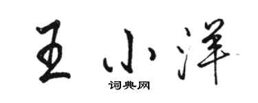 駱恆光王小洋行書個性簽名怎么寫