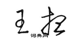駱恆光王想草書個性簽名怎么寫