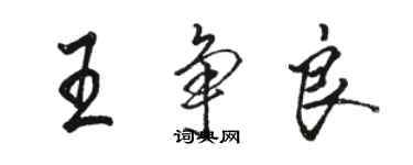 駱恆光王爭良行書個性簽名怎么寫