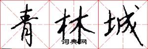 青林城怎么寫好看