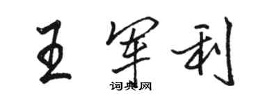 駱恆光王軍利行書個性簽名怎么寫