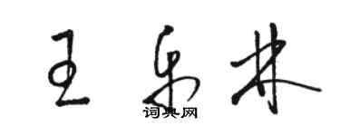 駱恆光王樂林草書個性簽名怎么寫