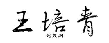 曾慶福王培青行書個性簽名怎么寫