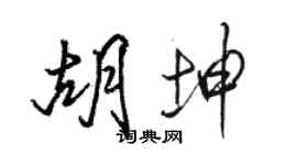 駱恆光胡坤行書個性簽名怎么寫