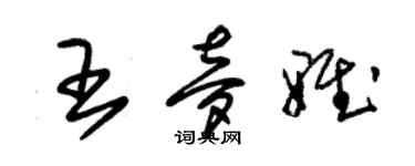 朱錫榮王夢雅草書個性簽名怎么寫