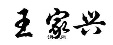 胡問遂王家興行書個性簽名怎么寫