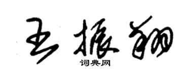 朱錫榮王振翔草書個性簽名怎么寫