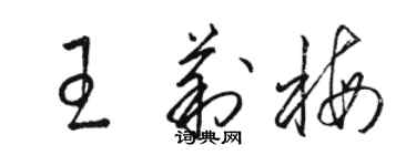 駱恆光王莉梅草書個性簽名怎么寫