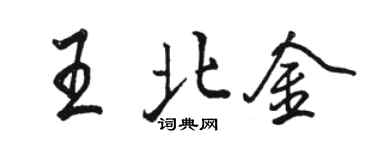 駱恆光王北金行書個性簽名怎么寫