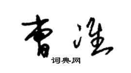 朱錫榮曹準草書個性簽名怎么寫