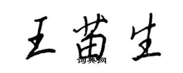 王正良王苗生行書個性簽名怎么寫
