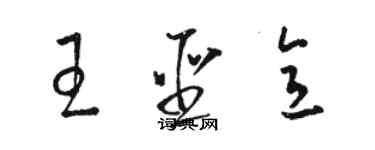 駱恆光王聖意草書個性簽名怎么寫