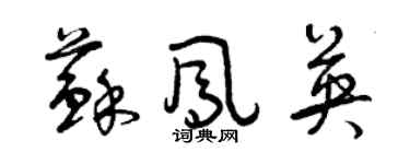 曾慶福蘇鳳英草書個性簽名怎么寫