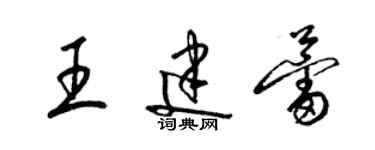 梁錦英王建蕾草書個性簽名怎么寫