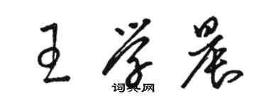 駱恆光王學晨草書個性簽名怎么寫