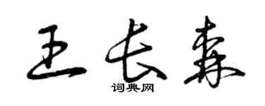 曾慶福王長森草書個性簽名怎么寫