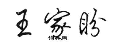 駱恆光王家盼行書個性簽名怎么寫