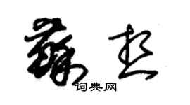 朱錫榮蘇想草書個性簽名怎么寫