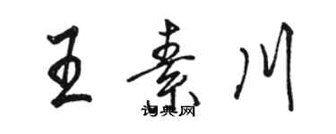 駱恆光王素川行書個性簽名怎么寫