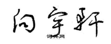 曾慶福向宇軒草書個性簽名怎么寫