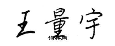 王正良王量宇行書個性簽名怎么寫