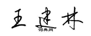 梁錦英王建林草書個性簽名怎么寫