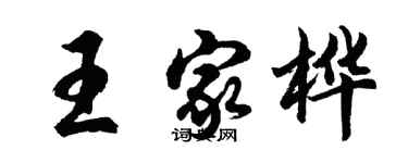 胡問遂王家樺行書個性簽名怎么寫